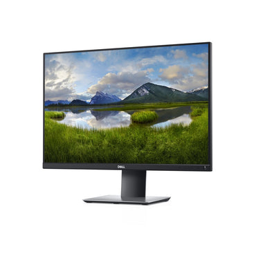 DELL P2421 24.1