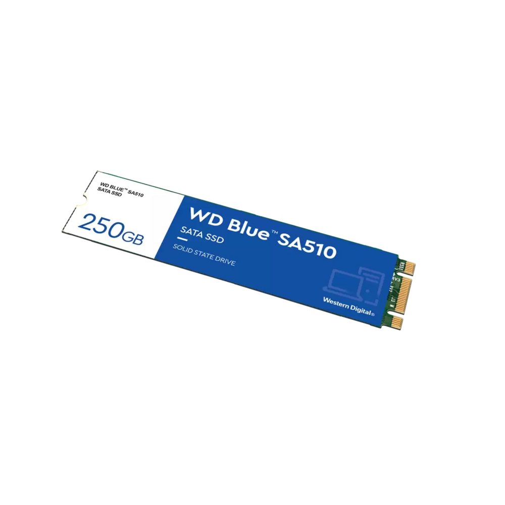Western Digital Blue SA510 | 250GB SATA SSD | M.2 | 555MB/s Lezen | 440MB/s Schrijven - Matmuis