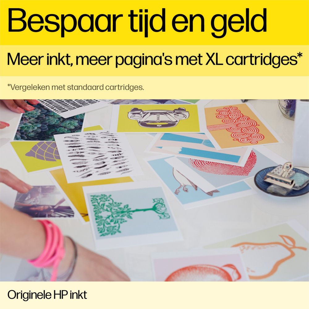 HP 300 | Originele Zwarte Inktcartridge