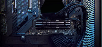 Kingston Fury Beast | 1x32GB DDR5 | 600MHz | DIMM | CL36 | Geheugenmodule | RAM - Matmuis - Matmuis