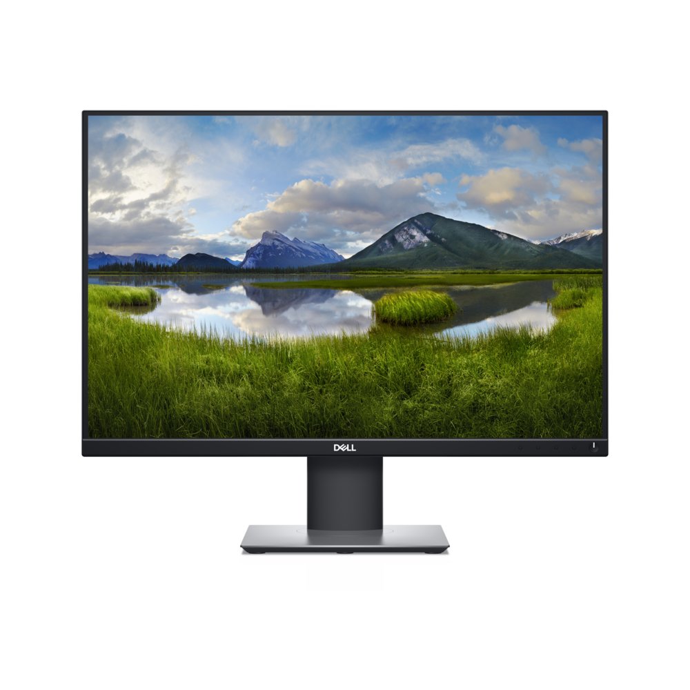 DELL P2421 24.1