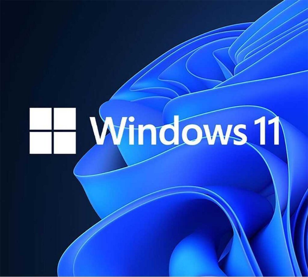 Microsoft Windows 11 Professional | 64-bit OEM | Nederlands / Meertalig - Matmuis - Matmuis