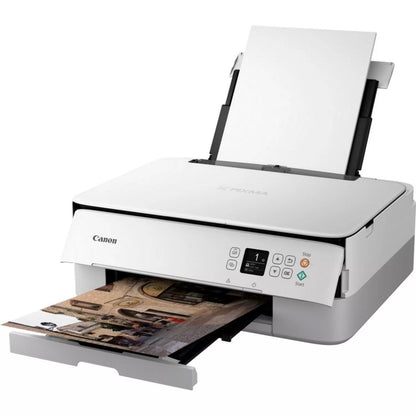 Canon PIXMA TS5351i | All-in-One Inkjetprinter | 4800 x 1200 DPI | Wi-Fi | Kleur - Matmuis - Matmuis