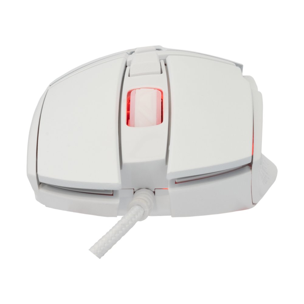 Baracuda RAPTOR RGB | Bedrade Gaming Muis | USB-A | 6400 DPI | Wit - Matmuis