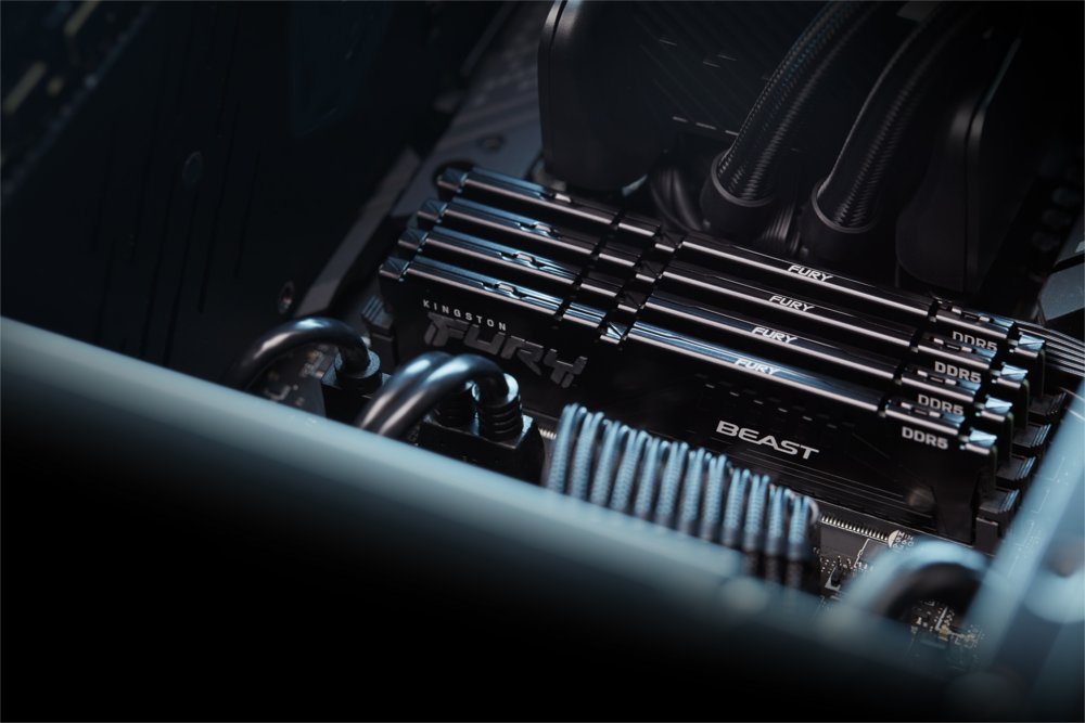 Kingston Fury Beast | 1x32GB DDR5 | 600MHz | DIMM | CL36 | Geheugenmodule | RAM - Matmuis - Matmuis