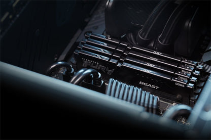 Kingston Fury Beast | 1x32GB DDR5 | 600MHz | DIMM | CL36 | Geheugenmodule | RAM - Matmuis - Matmuis