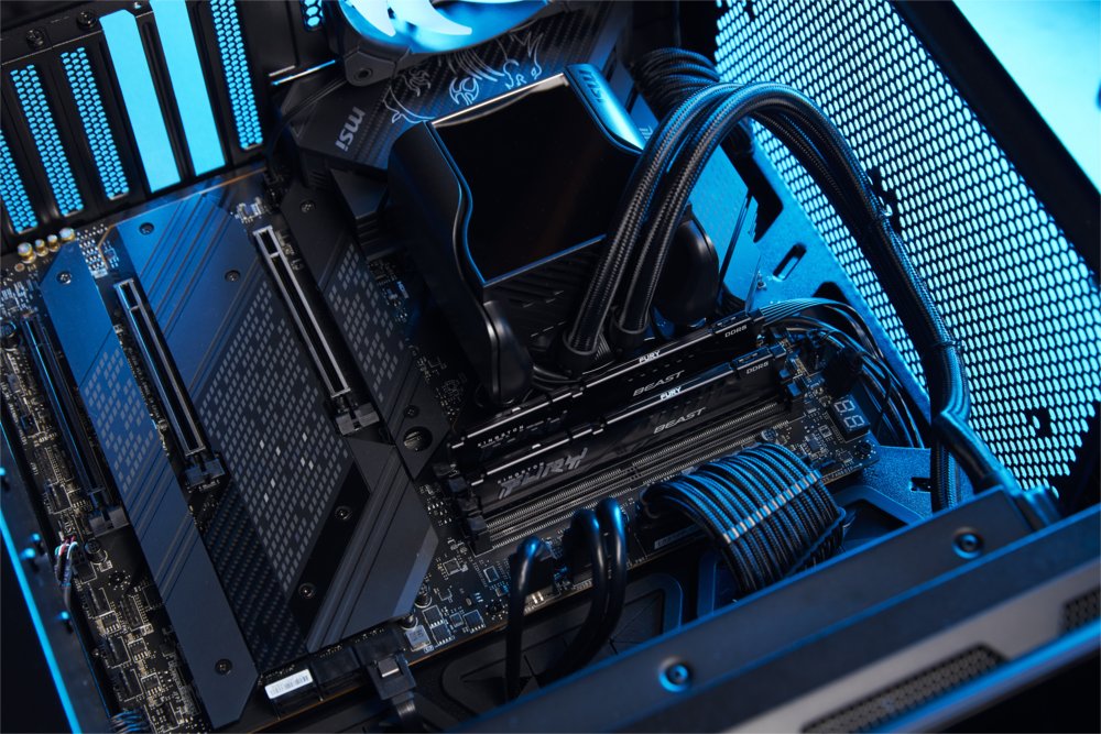 Kingston Fury Beast | 1x32GB DDR5 | 600MHz | DIMM | CL36 | Geheugenmodule | RAM - Matmuis - Matmuis
