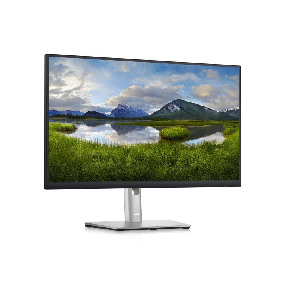 DELL P2423DE 23.8