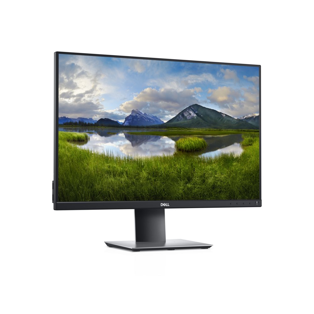 DELL P2421 24.1