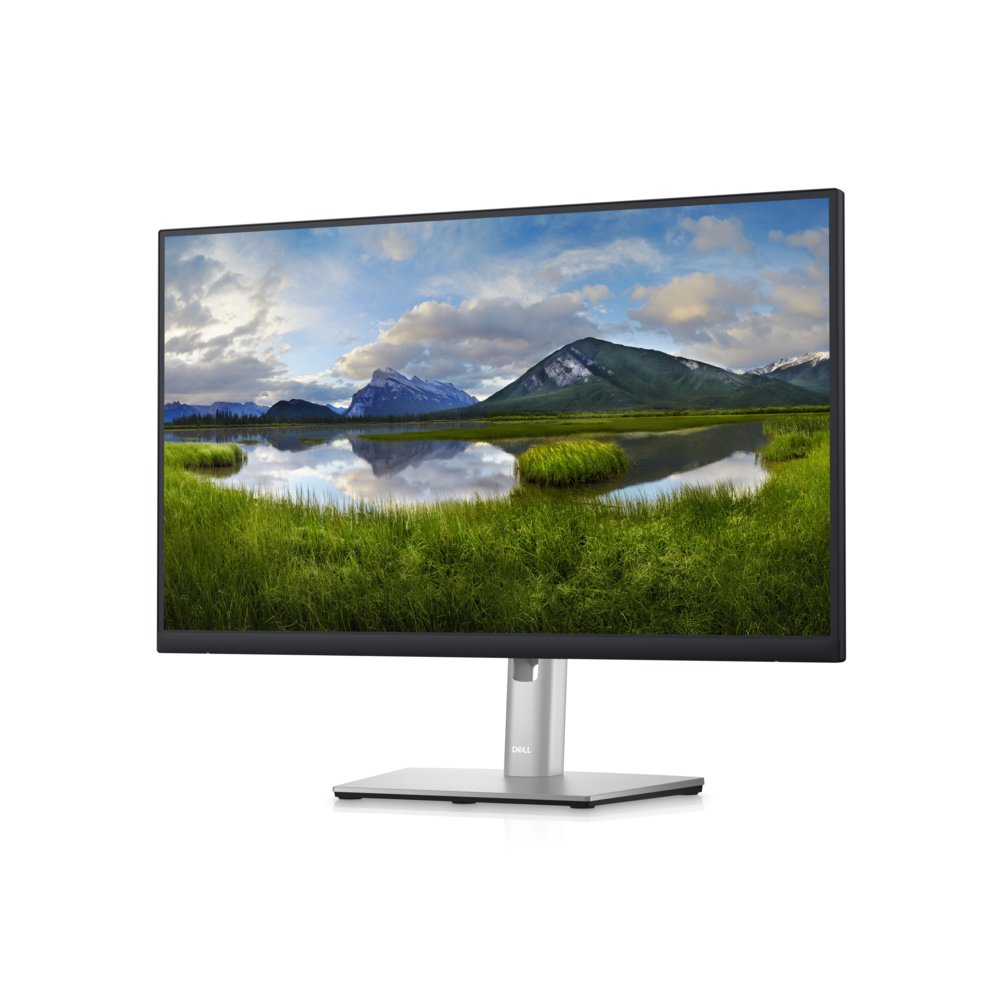 DELL P2423D 24