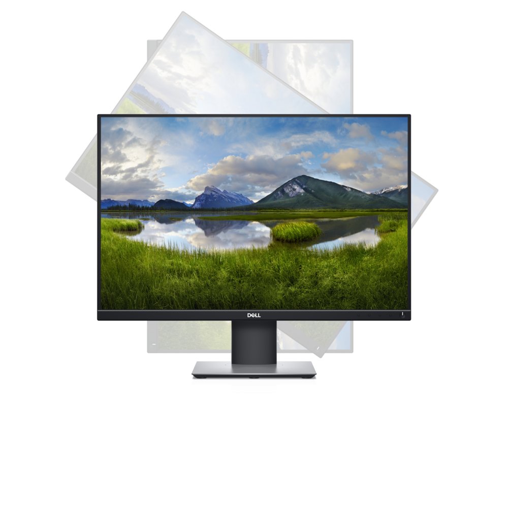 DELL P2421 24.1